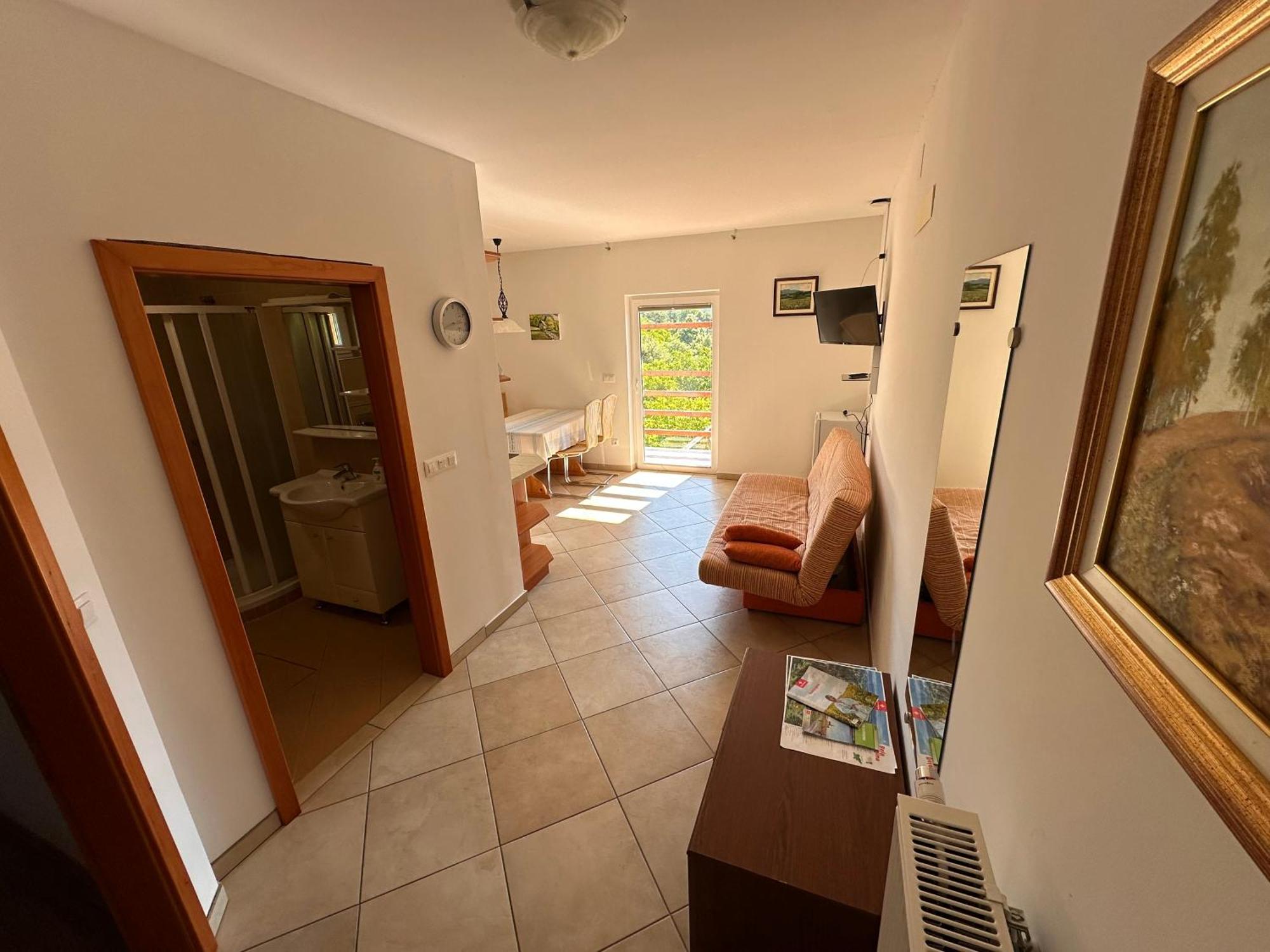 Apartments Suster Stari Trg ob Kolpi Экстерьер фото